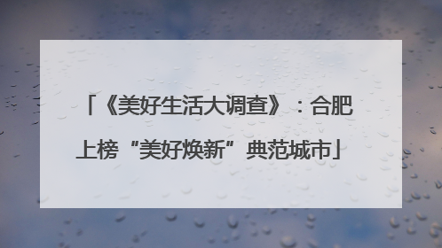 《美好生活大调查》：合肥上榜“美好焕新”典范城市