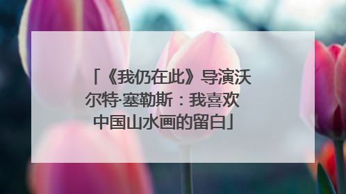 《我仍在此》导演沃尔特·塞勒斯：我喜欢中国山水画的留白