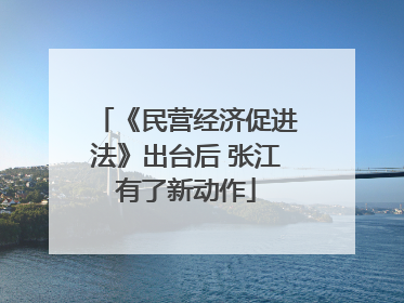 《民营经济促进法》出台后 张江有了新动作