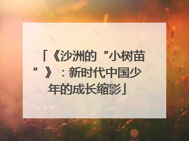 《沙洲的“小树苗”》：新时代中国少年的成长缩影