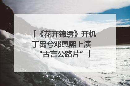 《花开锦绣》开机 丁禹兮邓恩熙上演“古言公路片”