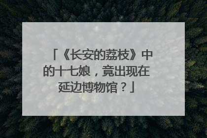 《长安的荔枝》中的十七娘，竟出现在延边博物馆？