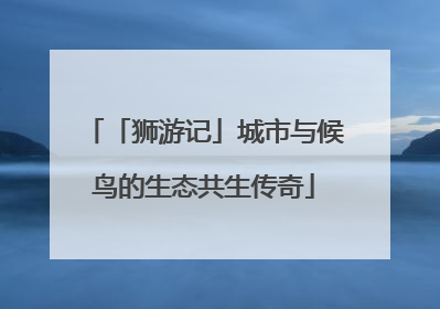 「狮游记」城市与候鸟的生态共生传奇