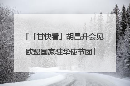 「甘快看」胡昌升会见欧盟国家驻华使节团
