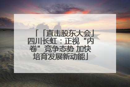 「直击股东大会」四川长虹：正视“内卷”竞争态势 加快培育发展新动能