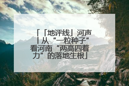 「地评线」河声丨从“一粒种子”看河南“两高四着力”的落地生根