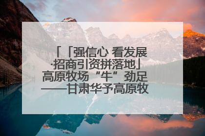 「强信心 看发展·招商引资拼落地」高原牧场“牛”劲足——甘肃华予高原牧场高标准奶牛肉牛养殖项目一线见闻