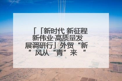 「新时代 新征程 新伟业·高质量发展调研行」外贸“新”风从“青”来 “双向奔赴”启新程