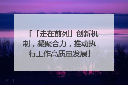 「走在前列」创新机制，凝聚合力，推动执行工作高质量发展