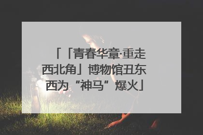 「青春华章·重走西北角」博物馆丑东西为“神马”爆火