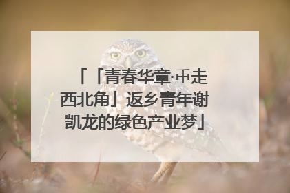 「青春华章·重走西北角」返乡青年谢凯龙的绿色产业梦