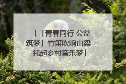 「青春同行 公益筑梦」竹笛吹响山梁 托起乡村音乐梦