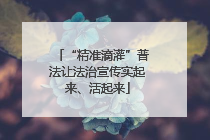 “精准滴灌”普法让法治宣传实起来、活起来