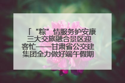 “粽”情服务护安康 三大交旅融合景区迎客忙——甘肃省公交建集团全力做好端午假期景区运营工作