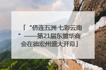 “侨连五洲·七彩云南”——第21届东盟华商会在德宏州盛大开幕