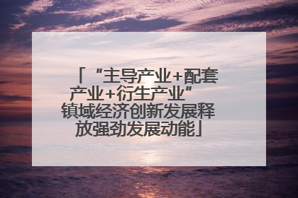 “主导产业+配套产业+衍生产业” 镇域经济创新发展释放强劲发展动能