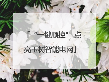 “一键顺控” 点亮玉树智能电网