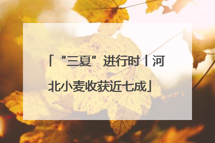 “三夏”进行时丨河北小麦收获近七成
