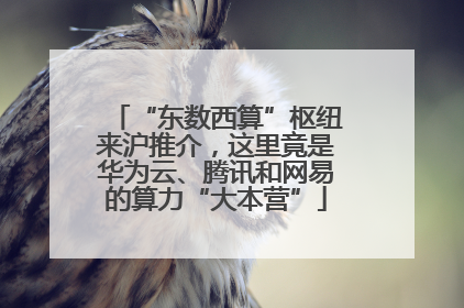 “东数西算”枢纽来沪推介，这里竟是华为云、腾讯和网易的算力“大本营”