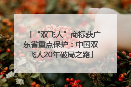 “双飞人”商标获广东省重点保护：中国双飞人20年破局之路
