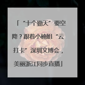 “十个勤天”要空降？跟着小楠姐“云打卡”深圳文博会，美丽浙江同步直播