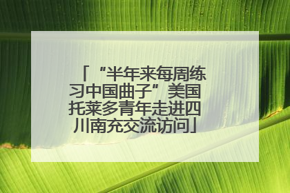 “半年来每周练习中国曲子”美国托莱多青年走进四川南充交流访问