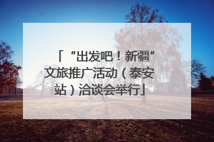 “出发吧！新疆”文旅推广活动（泰安站）洽谈会举行
