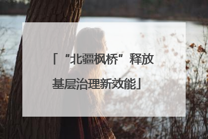 “北疆枫桥”释放基层治理新效能