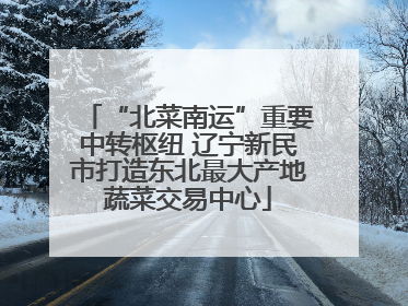 “北菜南运”重要中转枢纽 辽宁新民市打造东北最大产地蔬菜交易中心