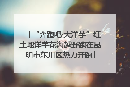 “奔跑吧·大洋芋”红土地洋芋花海越野跑在昆明市东川区热力开跑