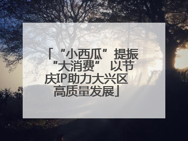 “小西瓜”提振“大消费” 以节庆IP助力大兴区高质量发展