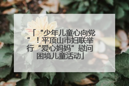 “少年儿童心向党”！平顶山市妇联举行“爱心妈妈”慰问困境儿童活动
