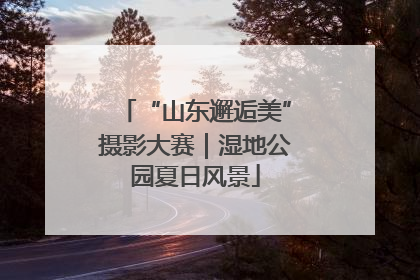 “山东邂逅美”摄影大赛｜湿地公园夏日风景