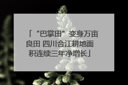 “巴掌田”变身万亩良田 四川合江耕地面积连续三年净增长