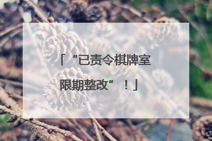 “已责令棋牌室限期整改”！