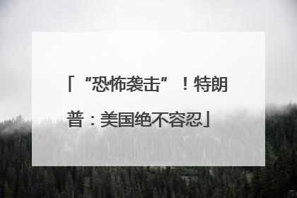 “恐怖袭击”！特朗普：美国绝不容忍