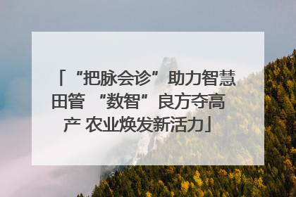 “把脉会诊”助力智慧田管 “数智”良方夺高产 农业焕发新活力