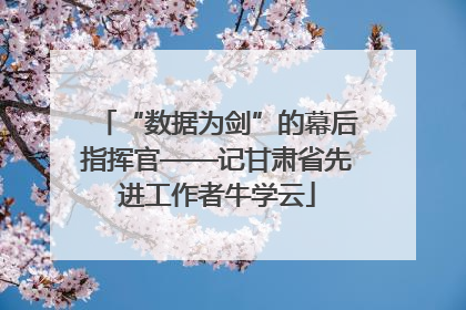 “数据为剑”的幕后指挥官——记甘肃省先进工作者牛学云