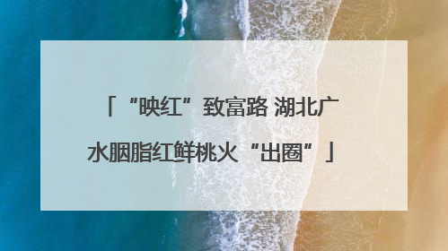 “映红”致富路 湖北广水胭脂红鲜桃火“出圈”