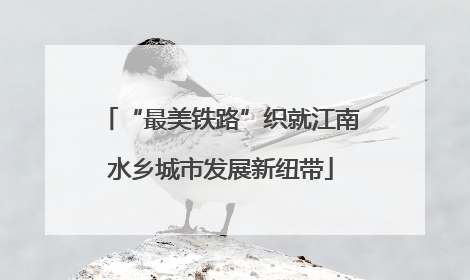 “最美铁路”织就江南水乡城市发展新纽带