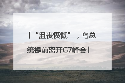 “沮丧愤慨”，乌总统提前离开G7峰会