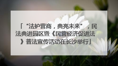 “法护营商，典亮未来”，民法典进园区暨《民营经济促进法》普法宣传活动在长沙举行