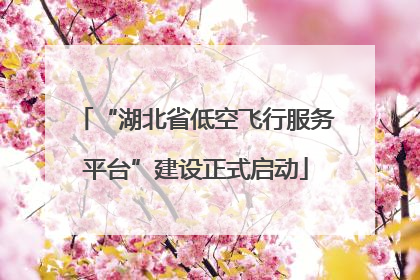“湖北省低空飞行服务平台”建设正式启动