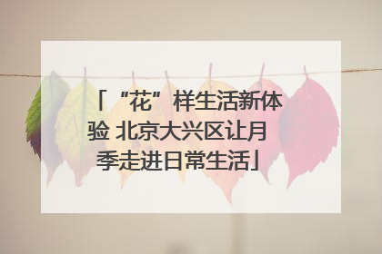 “花”样生活新体验 北京大兴区让月季走进日常生活