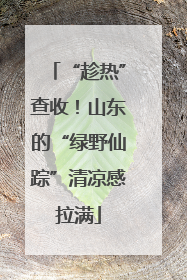 “趁热”查收！山东的“绿野仙踪”清凉感拉满