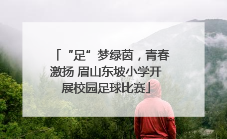 “足”梦绿茵，青春激扬 眉山东坡小学开展校园足球比赛