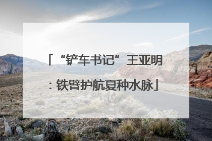 “铲车书记”王亚明：铁臂护航夏种水脉