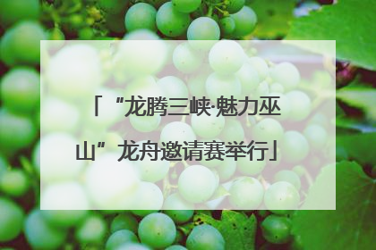 “龙腾三峡·魅力巫山”龙舟邀请赛举行