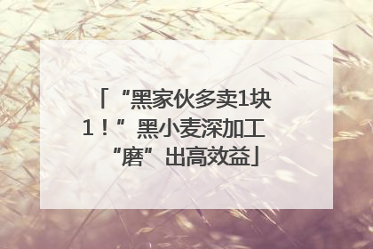 “黑家伙多卖1块1！”黑小麦深加工“磨”出高效益