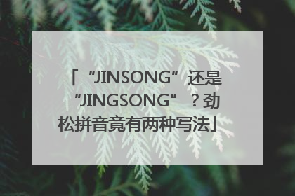 “JINSONG”还是“JINGSONG”？劲松拼音竟有两种写法